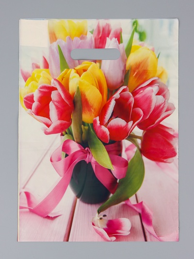 Пакет подарочный «Сиеста», полиэтиленовый с вырубной ручкой, 29×40 см, 35 мкм