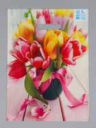 Пакет подарочный «Сиеста», полиэтиленовый с вырубной ручкой, 29×40 см, 35 мкм - Фото 2