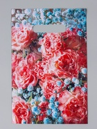 Ассорти подарочных пакетов полиэтиленовых с вырубной ручкой, 20×30 см, 30 мкм 10962371