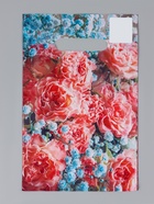 Ассорти подарочных пакетов полиэтиленовых с вырубной ручкой, 20×30 см, 30 мкм 10962371