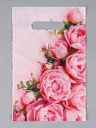 Ассорти подарочных пакетов полиэтиленовых с вырубной ручкой, 20×30 см, 30 мкм 10962371