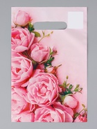 Ассорти подарочных пакетов полиэтиленовых с вырубной ручкой, 20×30 см, 30 мкм 10962371