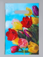 Ассорти подарочных пакетов полиэтиленовых с вырубной ручкой, 20×30 см, 30 мкм 10962371