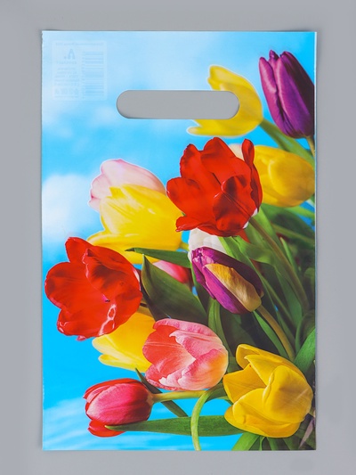 Пакет «Монро», полиэтиленовый с вырубной ручкой, 20×30 см, 30 мкм