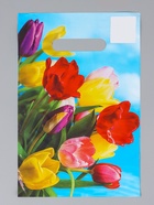 Пакет «Монро», полиэтиленовый с вырубной ручкой, 20×30 см, 30 мкм - фото 120369041