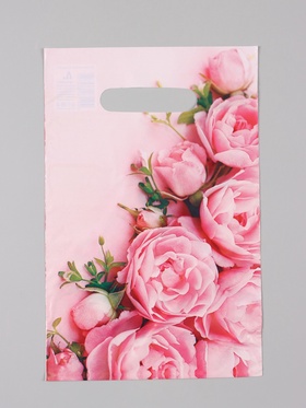 Пакет «Ненси», полиэтиленовый с вырубной ручкой, 20×30 см, 30 мкм 10962377