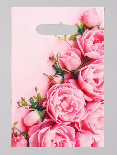 Пакет «Ненси», полиэтиленовый с вырубной ручкой, 20×30 см, 30 мкм