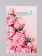 Пакет «Ненси», полиэтиленовый с вырубной ручкой, 20×30 см, 30 мкм - Фото 2