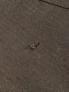 УЦЕНКА Лодка «YUGANA» 2900 СК Light слань+киль, цвет олива - Фото 12