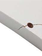 УЦЕНКА Комод КП- 3 пеленальный, 3 ящика, 1000×800×440(730), Ясень шимо светлый/Белый - Фото 5