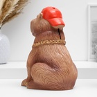 УЦЕНКА Копилка «Капибара в кепке» коричневый, 22 см - Фото 3