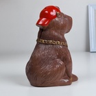 УЦЕНКА Копилка «Капибара в кепке» коричневый, 22 см - Фото 5