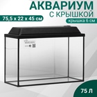 УЦЕНКА Аквариум Прямоугольный "Атолл" с крышкой, 75 литров, 75,5 х 22 х 45/51 см, чёрный - Фото 1