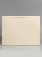 Пакет подарочный ламинированный горизонтальный «Молочный», XXL 61×46×20 см 10898324