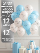 Воздушные шары латексные 12" «Весь мир в твоих руках», 12 шт. - фото 809611005