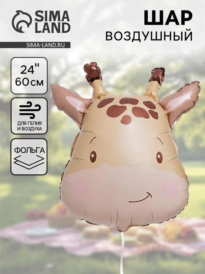 Воздушный шар фольгированный 24