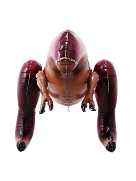 Воздушный шар фольгированный 41" «Доктор динозавров. Шеф», под воздух