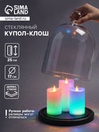 Стеклянный купол - клош на деревянной подставке, 17×25 см, чёрный 10974796
