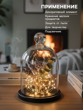 Стеклянный купол - клош на деревянной подставке, 17×25 см, чёрный