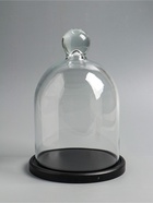 Стеклянный купол - клош на деревянной подставке, 17×25 см, чёрный 10974796