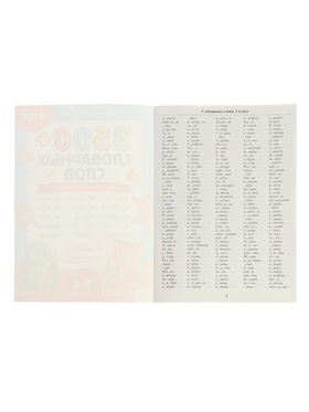 Тренажёр по русскому языку «3500 словарных слов 1-4 класс», 24 стр.