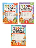 Набор книг «З500 примеров по русскому и математике», 3 шт. по 24 стр. 10910489