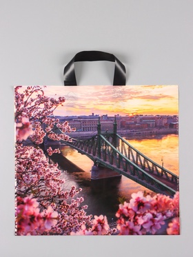 Пакет «Дунай», полиэтиленовый с петлевой ручкой, 38×34 + 3 см, 70 мкм