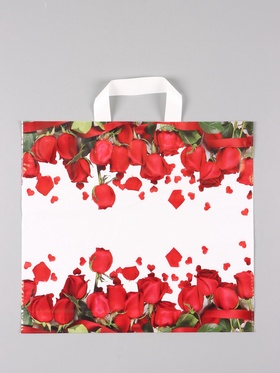 Пакет «Гран При», полиэтиленовый с петлевой ручкой, 38?34 + 3 см, 70 мкм (комплект 50 шт)