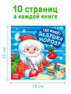 Набор книг «Где живёт Дедушка Мороз?», 10 шт. - фото 120369470