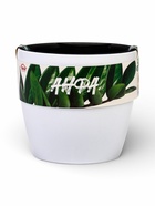 Кашпо для цветов «Анфа», 1.8 л, d=15 см, h=13.5 см, пластиковое, с автополивом, со вставкой, белое  (артикул 10970953)  большой выбор товаров оптом и в розницу по низким ценам с доставкой