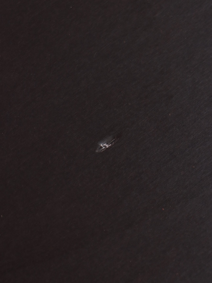 УЦЕНКА Лодка «YUGANA» 3600 СК слань+киль, цвет серо-синий - Фото 1