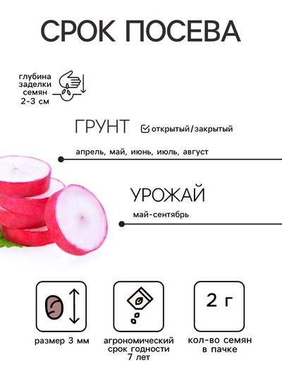 Семена Редис «Ризенбуттер», 2 г, «Семена Алтая»