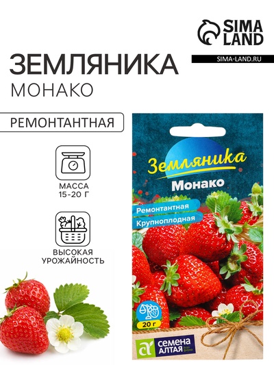 Семена Земляника «Монако», ремонтантная, крупноплодная, «Семена Алтая», 0.01 г