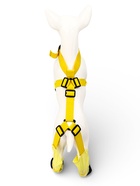 Ботинки - чулки для собак, размер S, длина лап 30-35, ДС 16-22, ОШ 12-40 см, жёлтые - фото 65464082