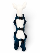 Ботинки - попона для собак, ДС 30 см, вес 5-7 кг, синие - фото 65464122