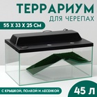 УЦЕНКА Террариум для черепах 45 литров, 55×33×25 см, с полкой и лесенкой, нет крышки - Фото 1