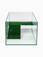 УЦЕНКА Террариум для черепах 45 литров, 55×33×25 см, с полкой и лесенкой, нет крышки - Фото 5