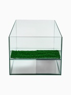 УЦЕНКА Террариум для черепах 45 литров, 55×33×25 см, с полкой и лесенкой, нет крышки - Фото 6