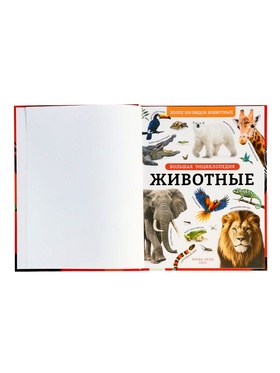 Энциклопедия в твёрдом переплёте «Животные», 128 стр.