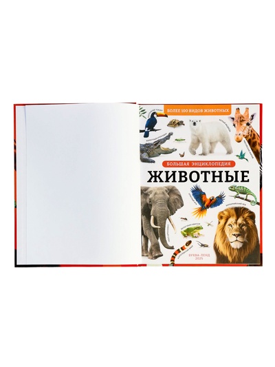 Энциклопедия с дополненной реальностью «Животные», 128 стр.