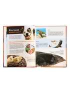 Энциклопедия в твёрдом переплёте «Животные», 128 стр. 10861412