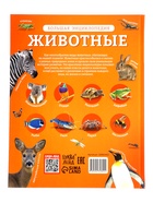 Энциклопедия в твёрдом переплёте «Животные», 128 стр. 10861412