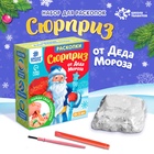 УЦЕНКА ЭВРИКИ Набор для раскопок "Сюрприз от Деда Мороза" - Фото 1