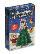 УЦЕНКА ЭВРИКИ Набор для опытов "Новогодние кристаллы", с лошадкой - Фото 2