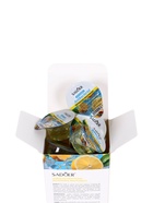 Набор Антибактериального ополаскивателя для полости рта SADOER, лимон, 10 шт. по 13 мл 10919456