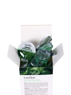 Набор Антибактериального ополаскивателя для полости рта SADOER, мята, 10 шт. по 13 мл 10919458