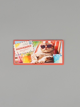 Конверт для денег «Наслаждайся жизнью!», 16,5 х 8 см 10970828