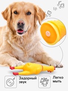 УЦЕНКА Игрушка пищащая «Задумчивая курица» для собак, 28 см, ИГРУШКА НЕ ПИЩИТ, жёлтая 10980922