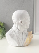 Копилка для денег «Волан-де-Морт» 31×27×23 см, белый с золотом - Фото 5