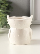 Карандашница сувенирная «Сова с лейкой», 8×8 см, гипс, белый перламутр - Фото 3